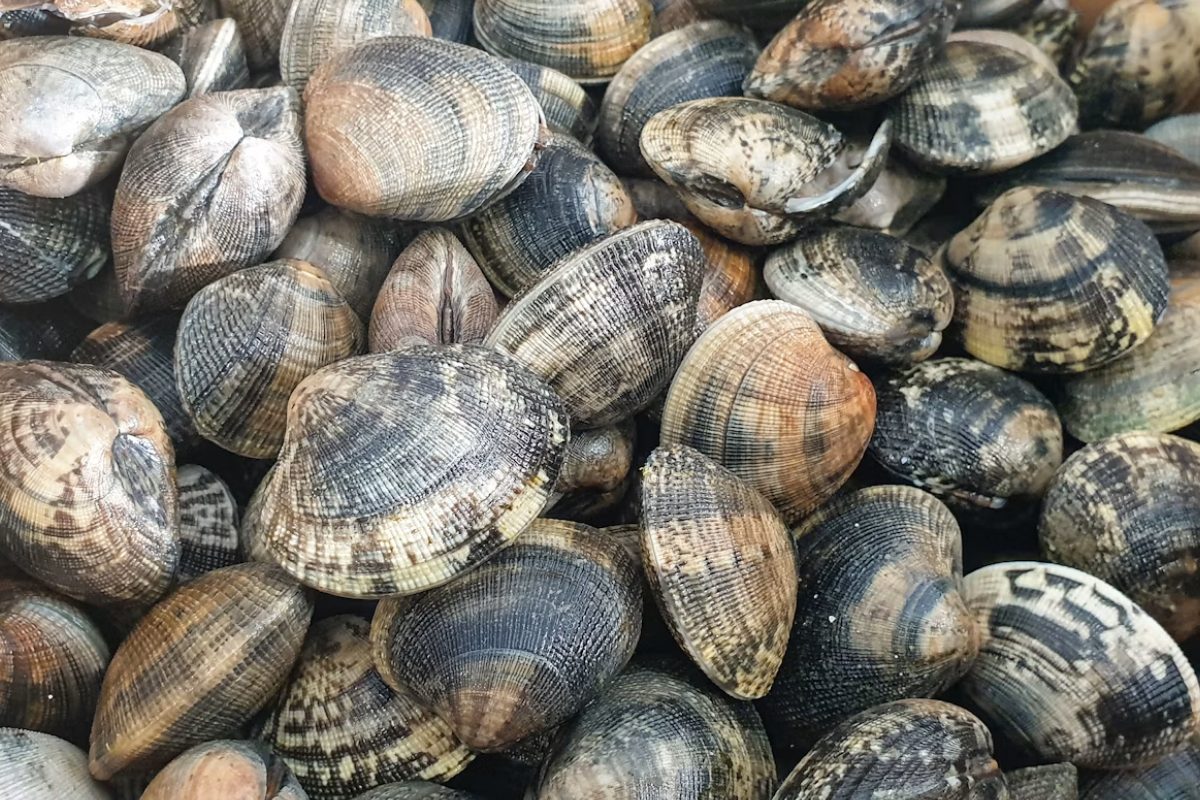 Shellfish Warning B.C.