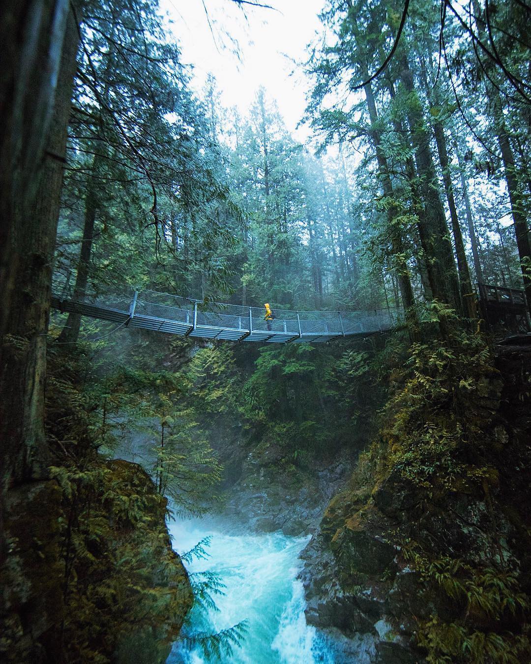Lynn Canyon Park
