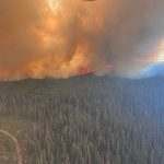 A Fast-Moving B.C. Wildfire Has Triggered An Evacuation Alert