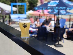 Summer Brewski