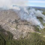 Here’s How Wildfire Smoke Might Be Affecting Your Brain