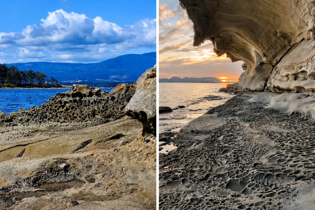 Taylor Bay and Malaspina Galleries