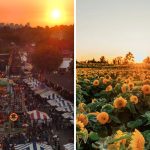 39+ Fun Things To Do In Metro Vancouver This Weekend (August 21-23)