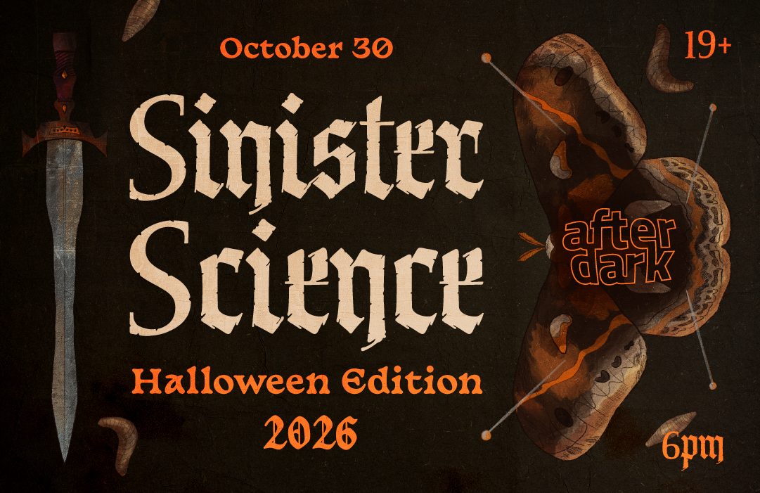 after dark halloween