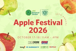 apple festival