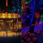 The Ultimate Guide to Halloween Activities for Kids in Vancouver