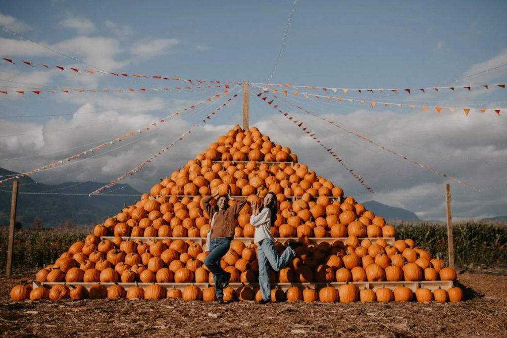 Greendale Acres Pumpkin Patch