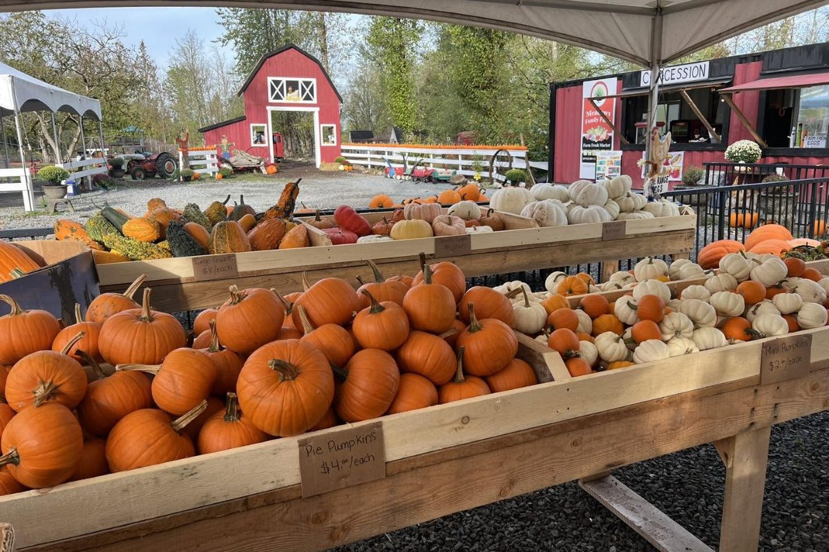 meadows family farm