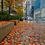 Metro Vancouver Is Under A Weather Warning– Here’s What You Should Know