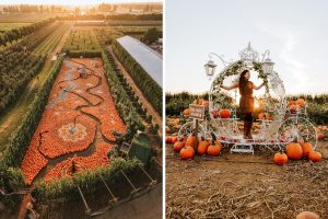 Abbotsford Is Hosting A Magical Fall Festival With A Huge Pumpkin Patch, Photo-Ops & Seasonal Treats