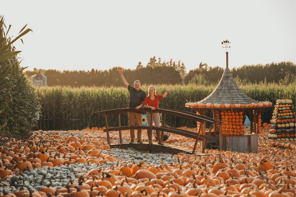 taves family farms