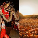 35+ Fun Things To Do In Metro Vancouver This Week (Sept 14-20)