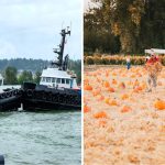 37+ Fun Things To Do In Metro Vancouver This Weekend (Sept 25-27)