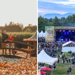 37+ Fun Things To Do In Metro Vancouver This Weekend (Sept 11-13)
