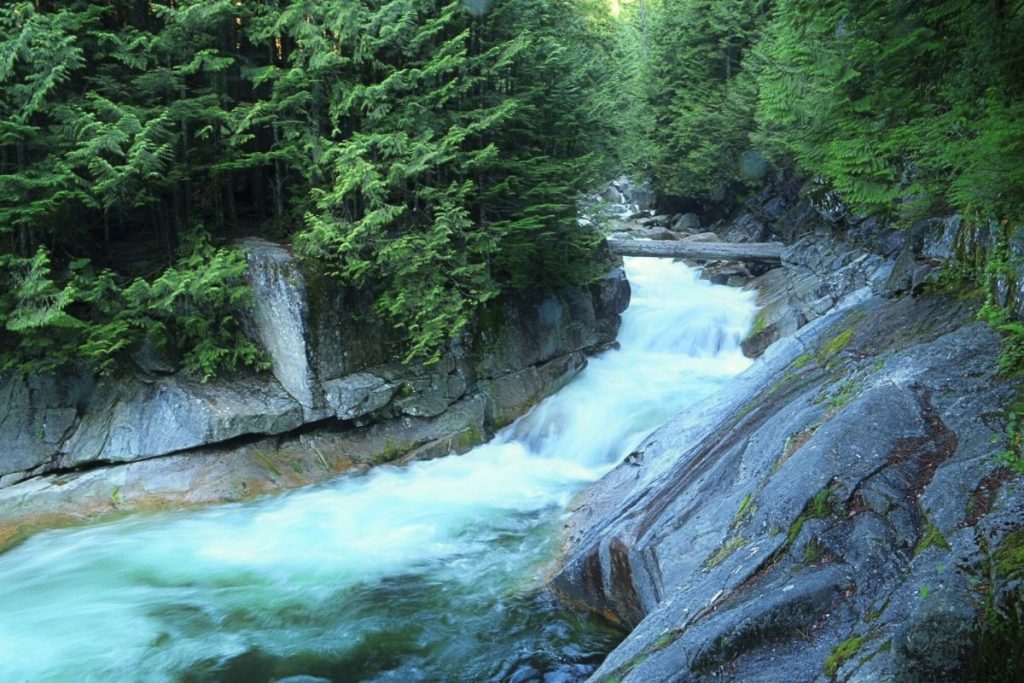 Golden Ears Park