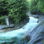 Fall Hikes and Nature Adventures Around Metro Vancouver Your Kids Will Love