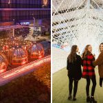 59+ Fun Things To Do In Metro Vancouver This November