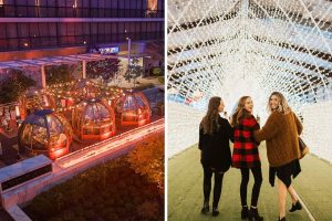 59+ Fun Things To Do In Metro Vancouver This November