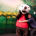 The Vancouver Aquarium Will Pay You $25/Hour To Be A Sea Otter