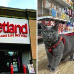 Port Coquitlam’s Petland Is Closing Down With Major Sales On Until Next Week