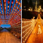 Pumpkins After Dark Is Cancelled For 2026: Here’s What To Do Instead