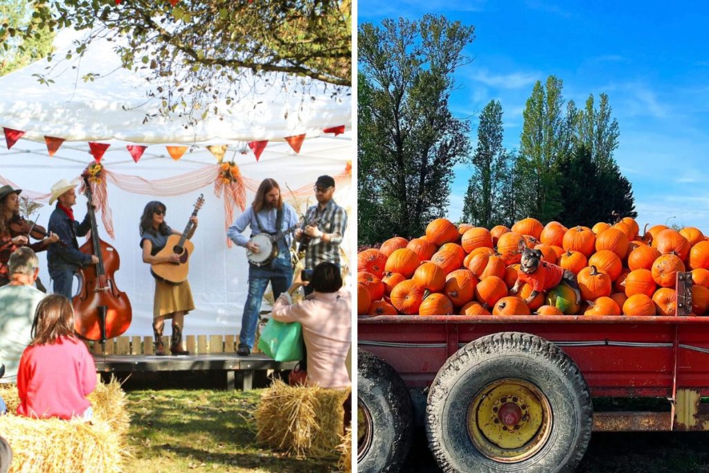 things to do in vancouver october 2026