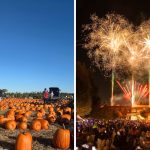 56+ Fun Things To Do In Metro Vancouver This Week (Oct 19-25)