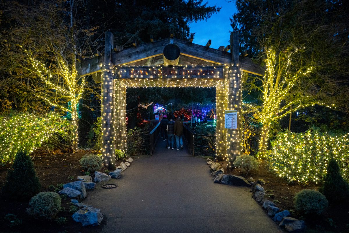 bear creek lights